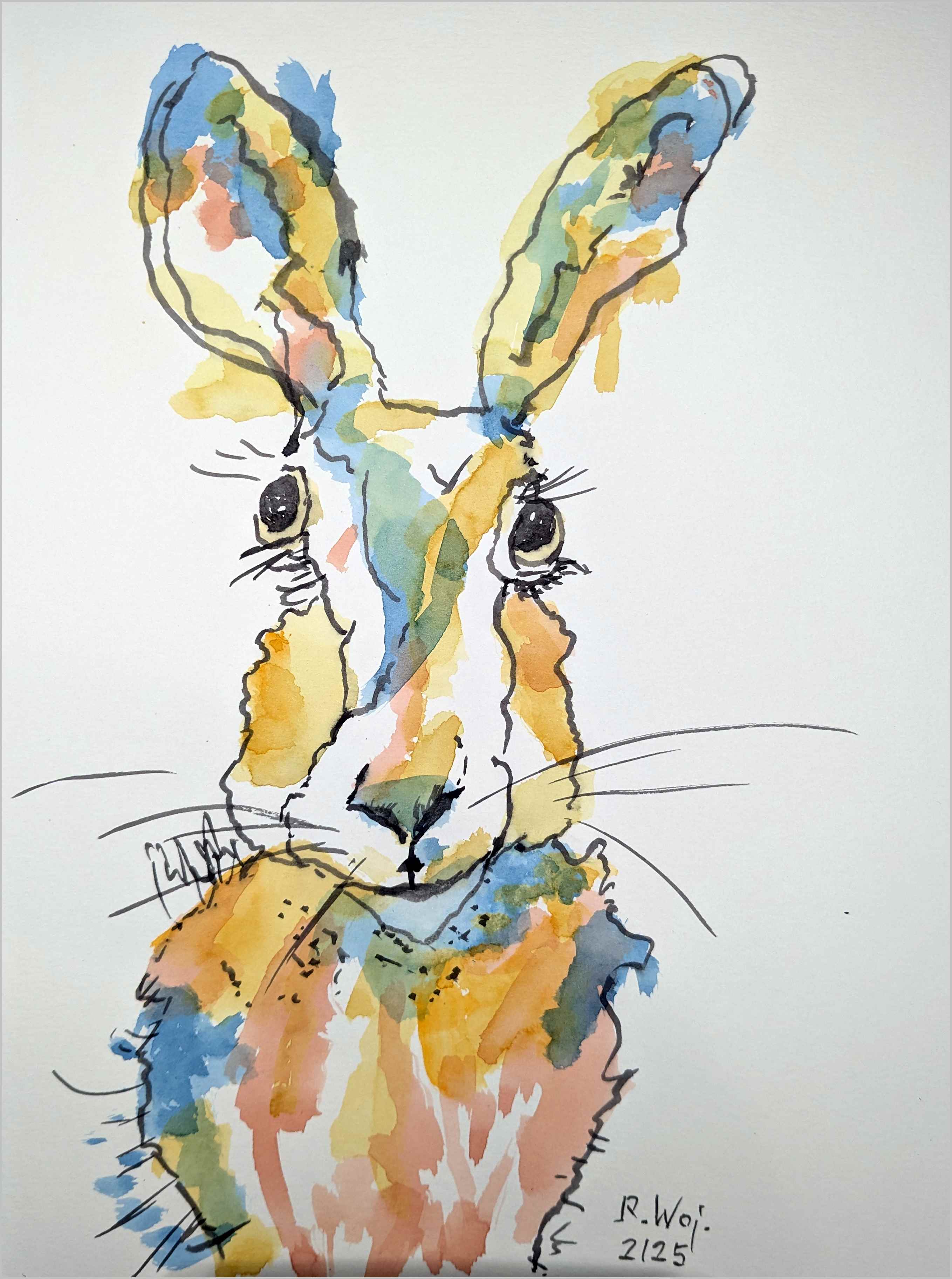   Hase